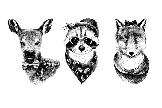 Dressed up hand drawn animals hipsters set.
