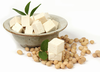 tofu, bean curd