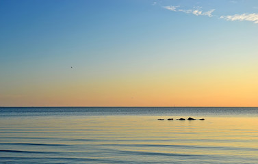 Fototapeta premium The Gulf of Finland