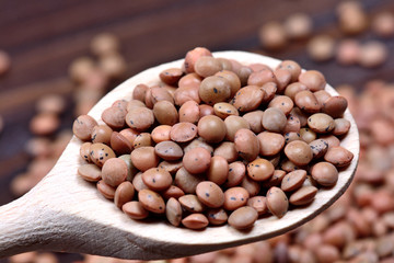 Dry brown lentils in a wooden spoon