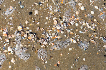 Scheveningen