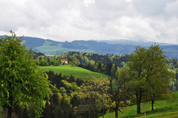 Schwarzwald Kirche St. Märgen