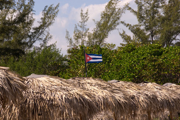 Cuban flag behind a line of beach palm tree umbrellas
