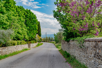 Spring flowers in the streets of classic chianti in tuscany italy