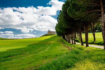Panorama of Volterra's lands and hills in the spring