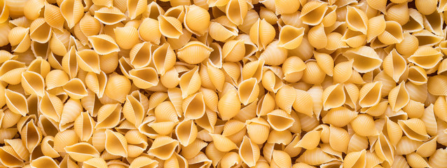 Shell Pasta
