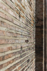 red brick wall background, shallow depth of field
