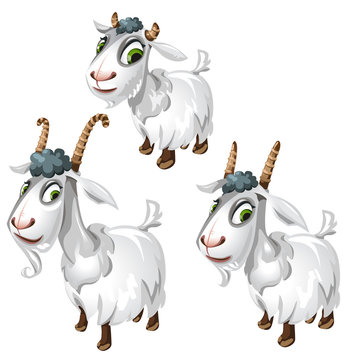 Cute goats with green eyes. Vector animals