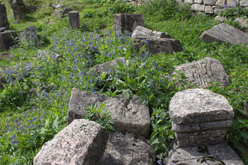 Fototapeta na wymiar Photo of ancient ruins. Blue flower with ruins in background