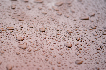 rain drops on gloss Brown surface