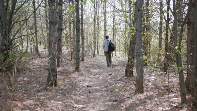 Young tourist man hikes away, through thick forest. 4k