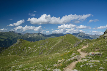 Wandern in den Alpen