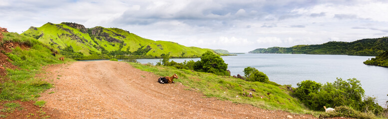 Panoramic view of  the green hills and bay of the island Flores, Indonesia