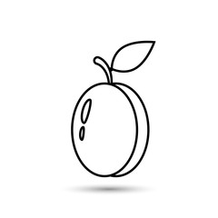 Apricot or plum with leave line icon, vector isolated illustration.