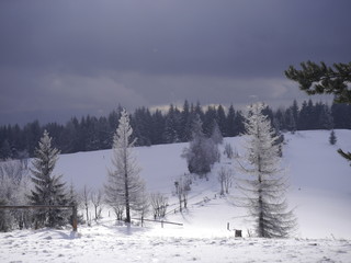 beskidy w zimowej aurze © barbara