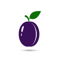 Plum fruit and leaf vector icon on white background.