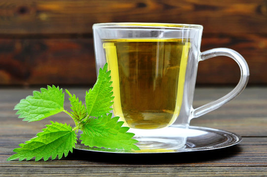 Stinging nettle tea in the transparent glass cup