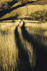 The Road Less Traveled
