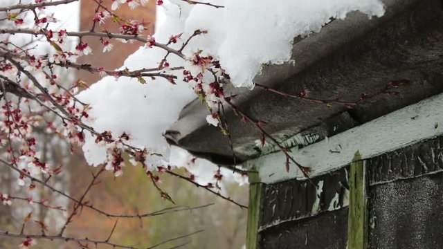 Big snow cap on the roof of the house on the corner of the house.Melting snow in the spring
