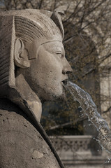 A sphynx spitting water in place du Châtelet