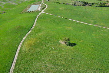 Via francigena aerea