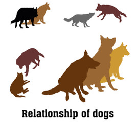 Vector group of dogs