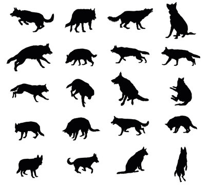 Set of vector dogs