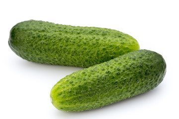 The first spring ecologically cucumbers.