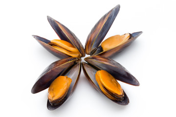 Mussels isolated on white background. Sea food. © gitusik