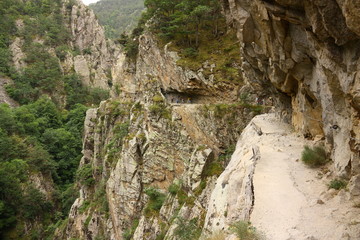 Gorges de la Carança dans le Conflent, Pyrénées orientales, France