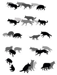Set of vector group of dogs