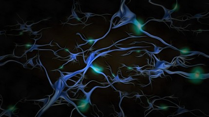 Neurons