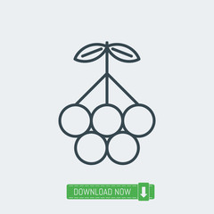 Grape icon, vector