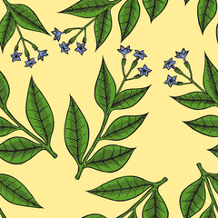 Fototapeta na wymiar Pattern herbs and flowers