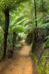 Abel Tasman National Park Wanderweg