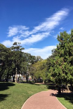 Parque Lezama - camino