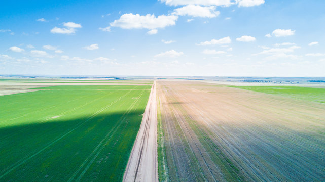Farmlands in Spring