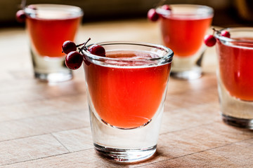 Cranberry cocktail shot with vodka