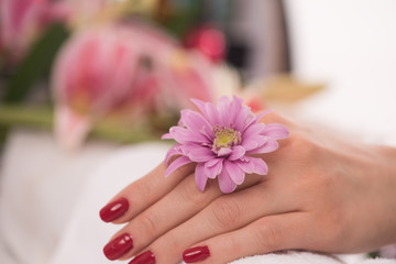 woman fingers with french manicure