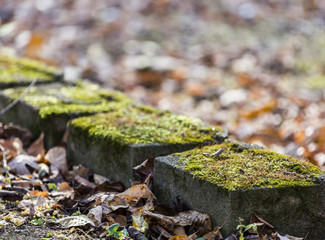 Moss Covered Landscaping Stones