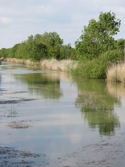 Charente-Maritime - Saint-Ouen d'Aunis - Canal de Marans - La Rochelle