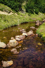 Arroyo
