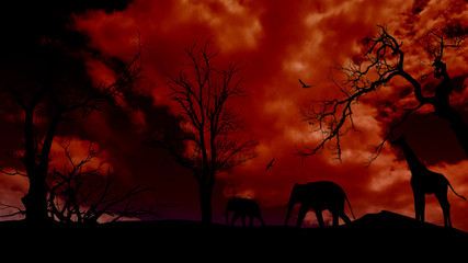 Safari background with elephant and giraffe silhouette