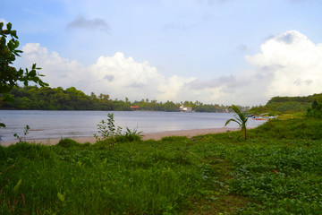 Fototapeta na wymiar The bank of the river Bentota. Sri Lanka.