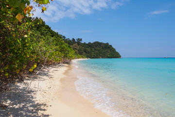 Pristine beach on Koh Rok island in southern Thailand