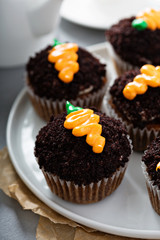 Carrot cupcakes with chocolate crumbs and frosting