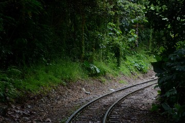 Obraz premium Railway line in the Peruvian deep green jungle winding its way to Machu Picchu.