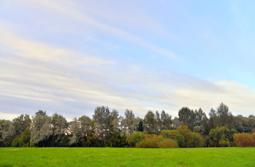 Fototapeta premium Park at autumn.