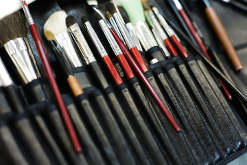 Makeup brushes in leather case