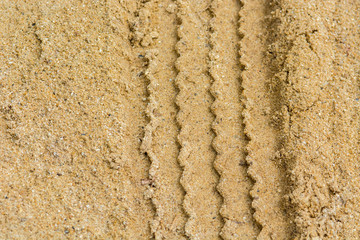 tire traces in the sand